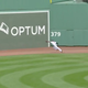 Illustration for article titled Jackie Bradley Jr., What